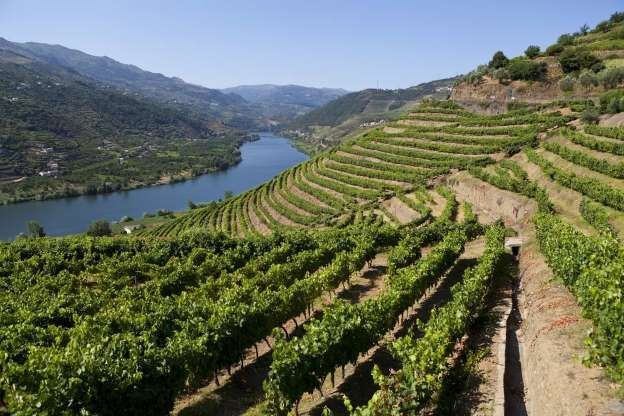 Vale do Douro