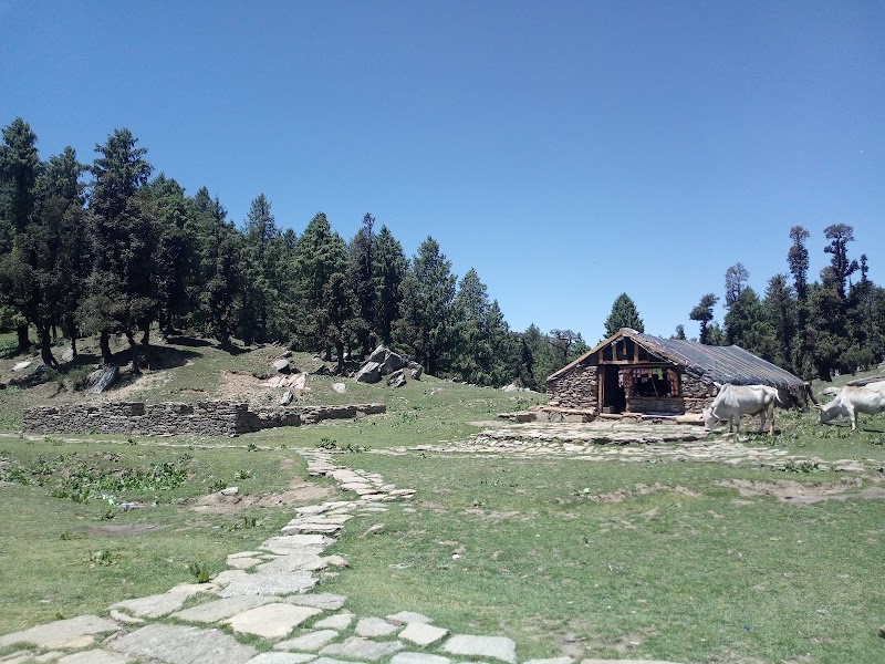Churdhar Trek - Churdhar Trek, Churdhar, Himachal Pradesh 171211, India