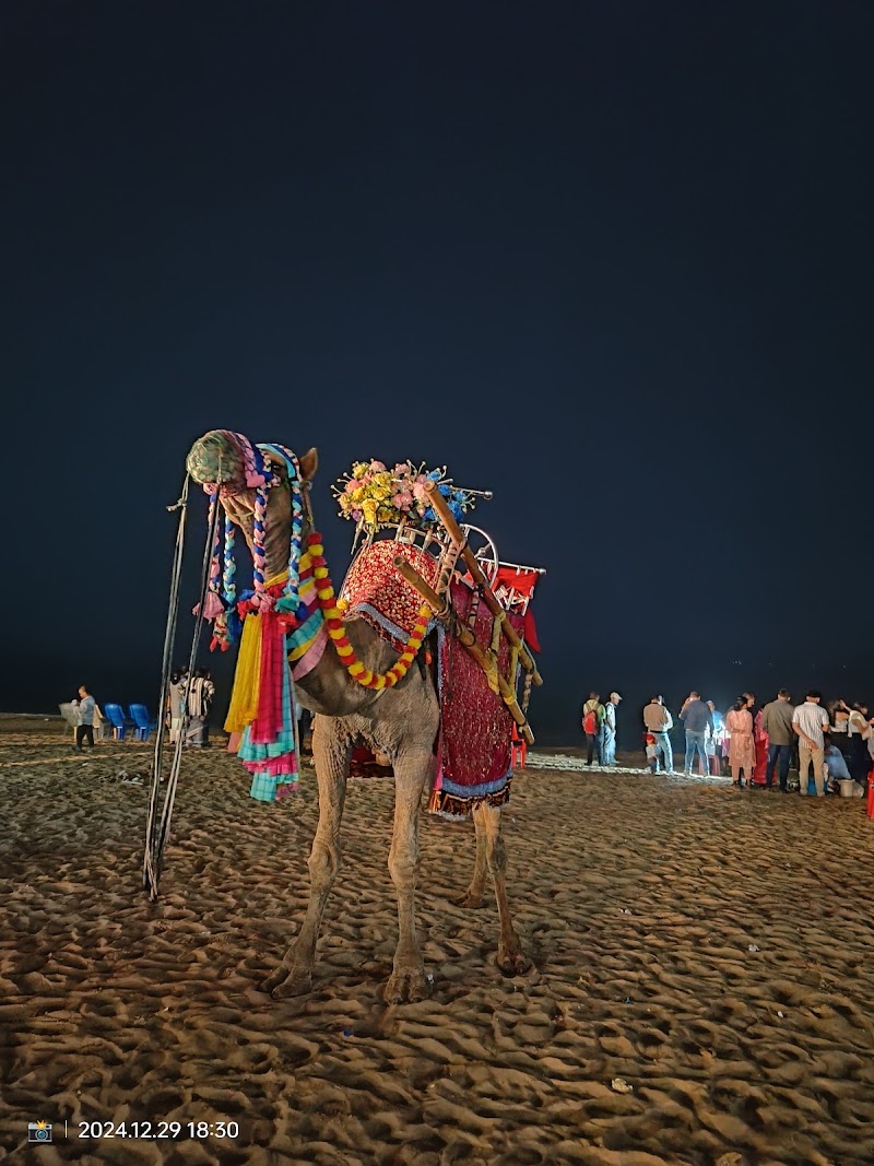 Puri Swargadwar Beach - Puri Swargadwar Beach Puri Swargadwar Beach, near swargadwar market, Puri, Odisha 752001, India