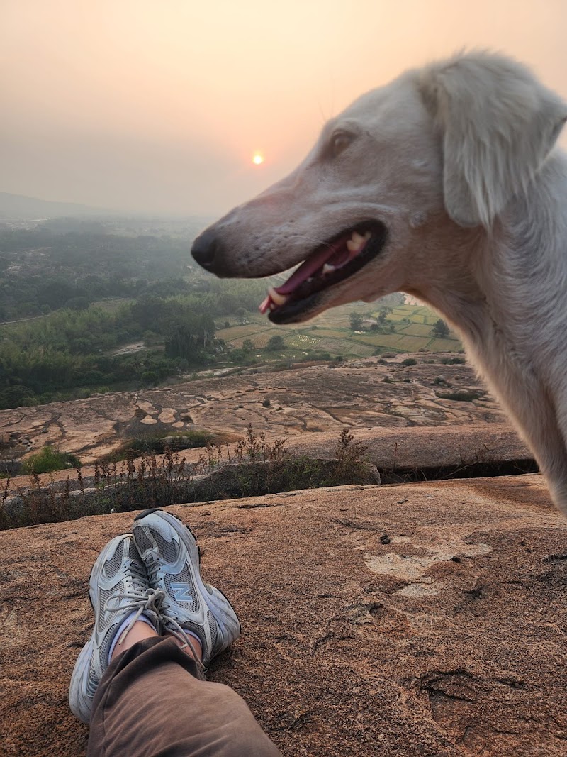 Cocogreen Homestay Hampi - Cocogreen Homestay Hampi I. B Rd, Sangapur, Karnataka 583227, India