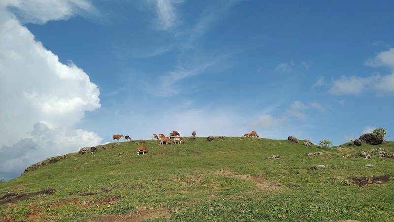 Bukit Merese - Bukit Merese, Jl. Kuta Lombok, Kuta, Kec. Pujut, Kabupaten Lombok Tengah, Nusa Tenggara Bar. 83573, Indonesia