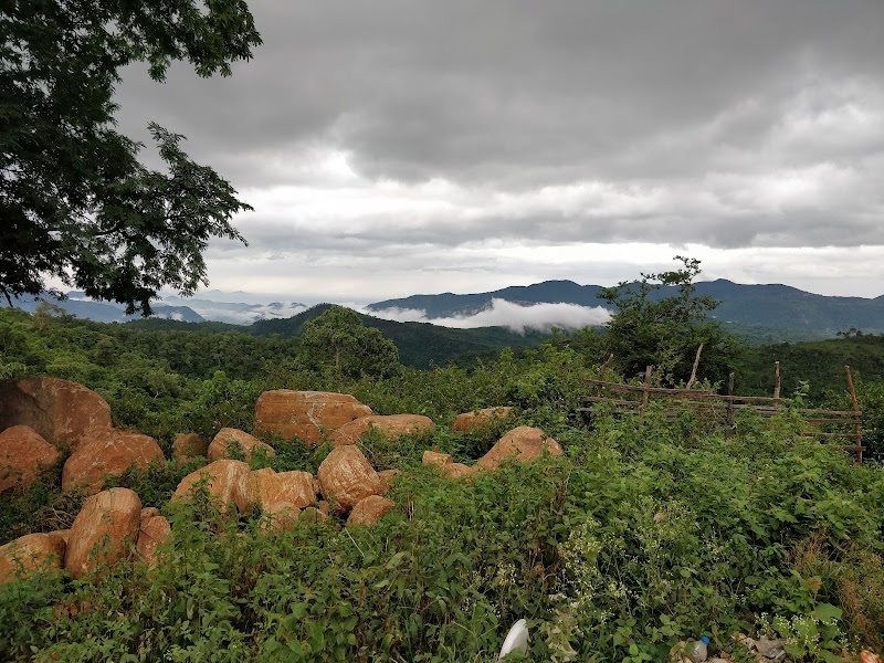 Araku Valley - Araku Valley, Andhra Pradesh 531151, India