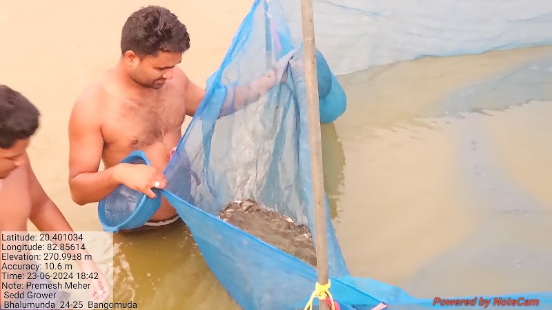 JP FISH AND FISH SEEDS FARM - JP FISH AND FISH SEEDS FARM, Ch, Bhalumunda, Chhatrang, Odisha 767060, India