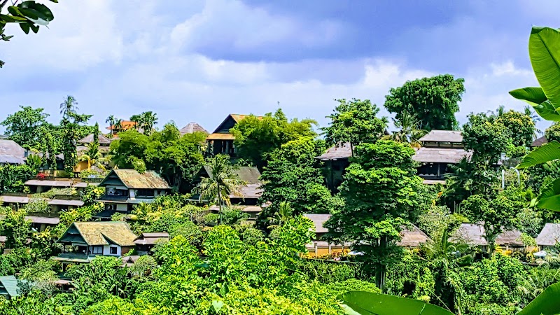 Ridgewalk start from north - Ridgewalk start from north G744+39P, Jl. Bangkiang Sidem, Keliki, Kec. Tegallalang, Kabupaten Gianyar, Bali 80561, Indonesia