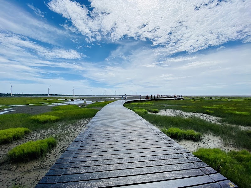 Gaomei Wetlands - Gaomei Wetlands, Qingshui District, Taichung City, Taiwan