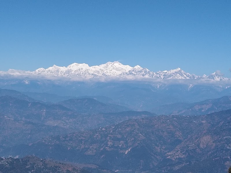 Lepchajagat Pine View - Lepchajagat Pine View 257W+4VG, Rishi Rd, Ghoom Pahar Forest, West Bengal 734221, India