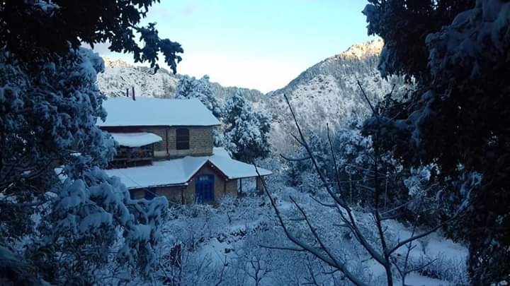Ayarpatta - Ayarpatta, Nainital, Uttarakhand 263001, India