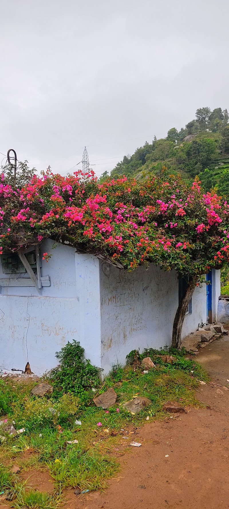 Kotagiri - Kotagiri, 12/222 st Luke’s church road, Kamaraj Square, Kotagiri, Tamil Nadu 643217, India