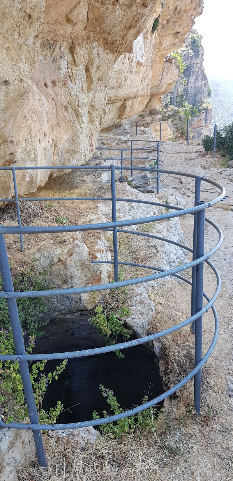 Shouf Biosphere Reserve /Niha Fortress - Shouf Biosphere Reserve /Niha Fortress, HJH5+XH2, Niha, Lebanon