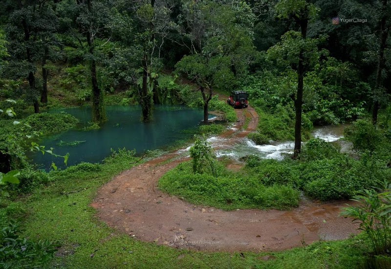 Utopia Wayanad - Utopia Wayanad, NO:8, Vellarimala ,Vellarimala ( PO Chooralmala, Meppadi, Vellarimala, Keralam 673577, India