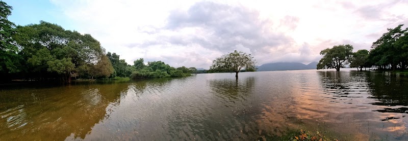 Kandalama - Kandalama Kandalama, Sri Lanka