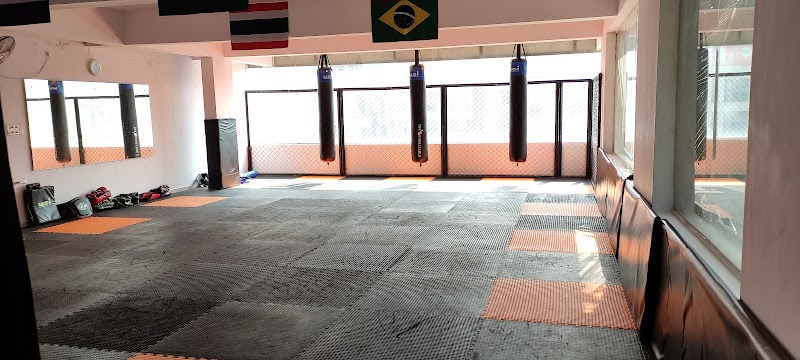 Reign MMA - Reign MMA, 87/A, 38th Cross Rd, near Anweshana Montessori school, Arkavathy Layout, 20th Block, HBR Layout, Bengaluru, Karnataka 560043, India