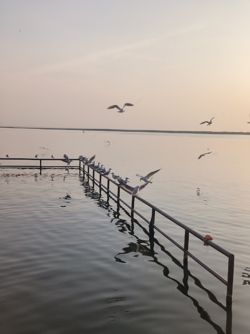 Triveni Sangam Somnath Aarti Place - Triveni Sangam Somnath Aarti Place VCM7+P36, Prabhas Patan, Gujarat 362268, India