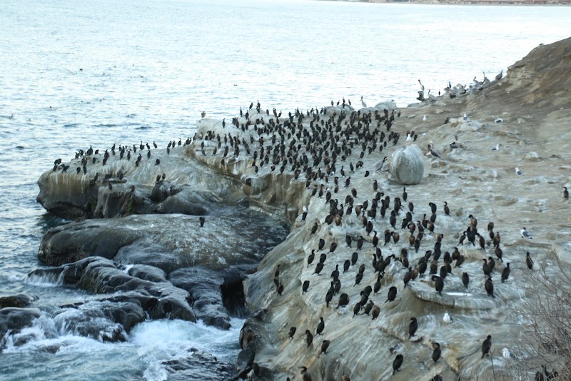 La Jolla - La Jolla, San Diego, CA, USA