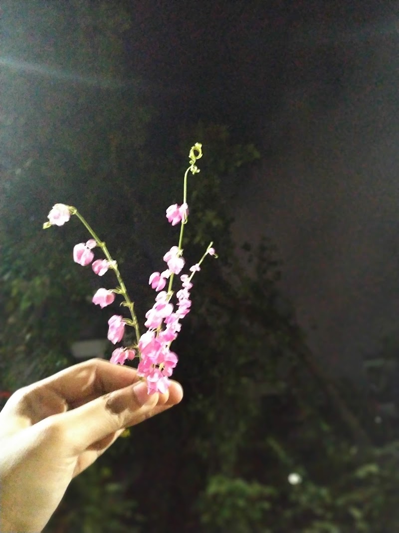 Kukreja Park - Kukreja Park 1, Kukreja Complex Rd, Kukreja, Govind Nagar, Bhandup West, Mumbai, Maharashtra 400078, India