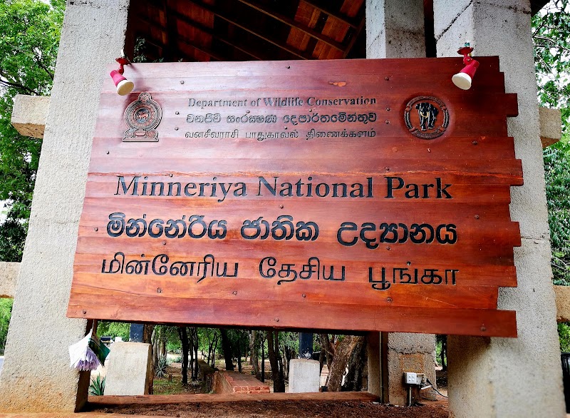 Minneriya National Park - Minneriya National Park Sri Lanka