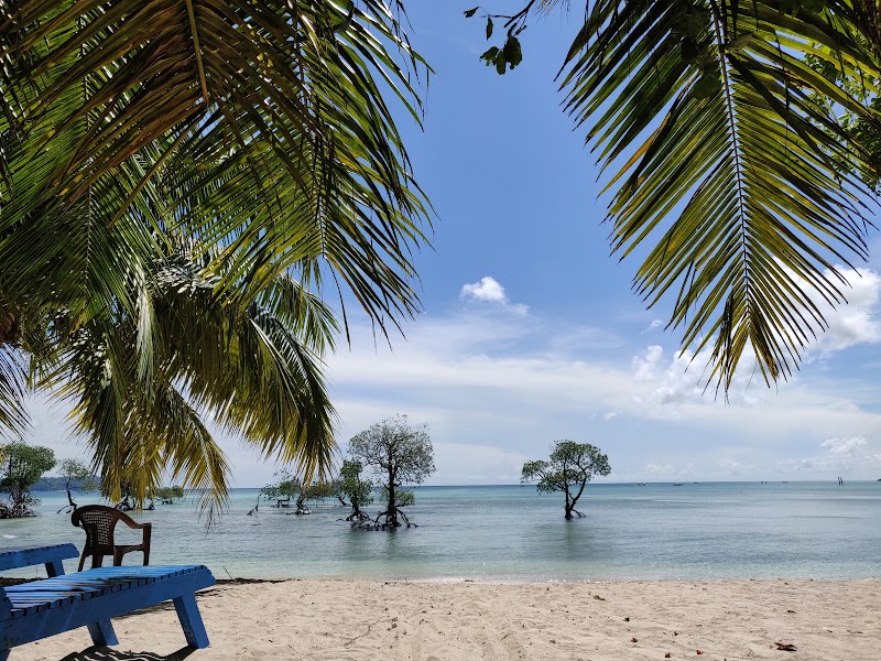 Coco-N-huts Beach Resort - Coco-N-huts Beach Resort, Nearby jetty bech number 2, Neil island, Neil Kendra, Andaman and Nicobar Islands 744104, India
