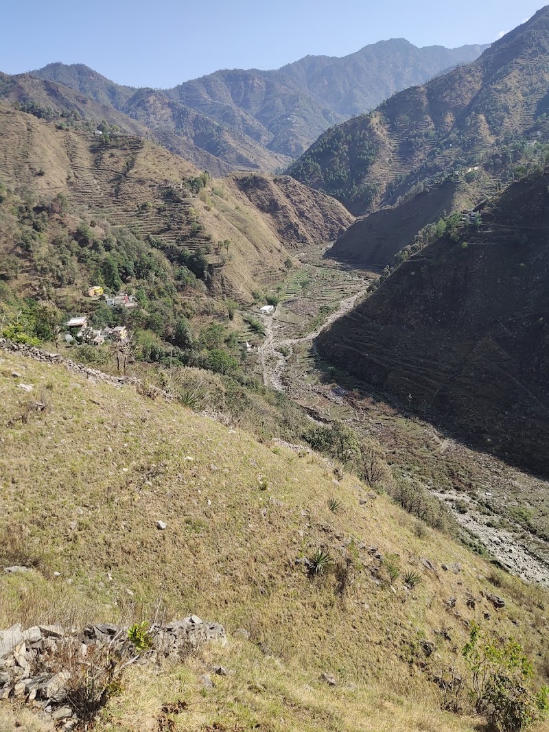 Village- tali - Village- tali, XWGF+F35, Gaddari, Uttarakhand 246169, India