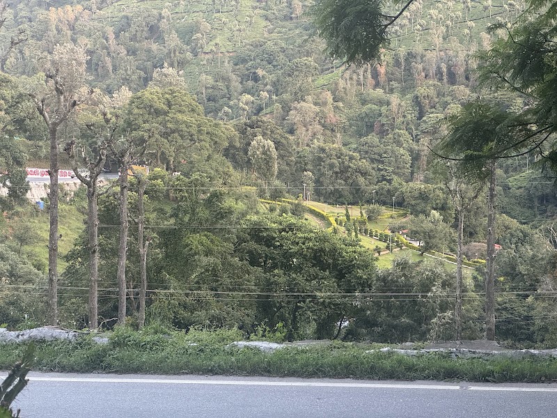 Government Tea Estate - Government Tea Estate 8QJX+QX6, Coonoor, Tamil Nadu 643102, India