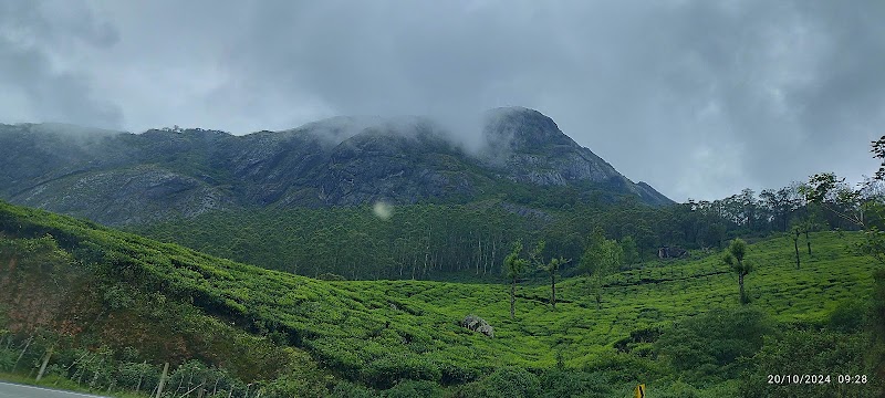 Bison valley - Bison valley, 24F9+HHJ, Udumbanchola, Keralam 685613, India