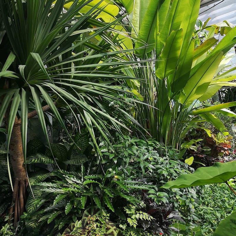 Palmenhaus im Hofgarten - Palmenhaus im Hofgarten Rennweg 12, 6020 Innsbruck, Austria