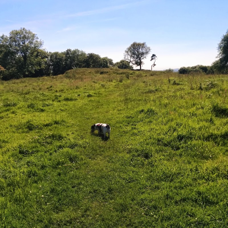 Cadbury Hill