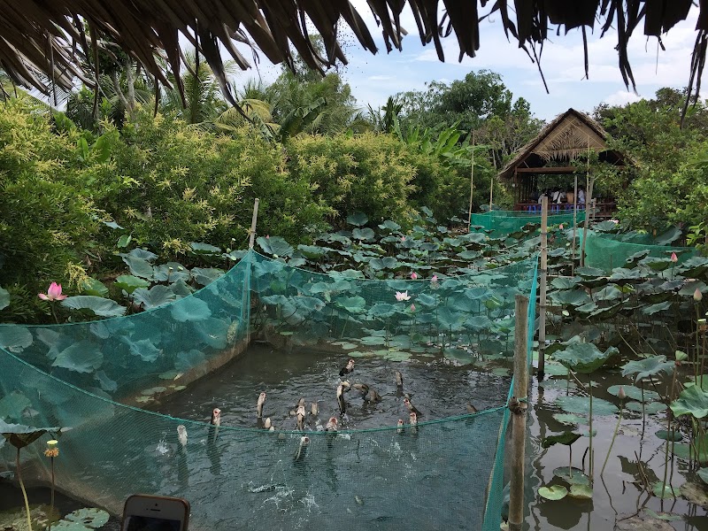 Cồn Sơn - Cồn Sơn, Bình Thủy, Cần Thơ, Vietnam