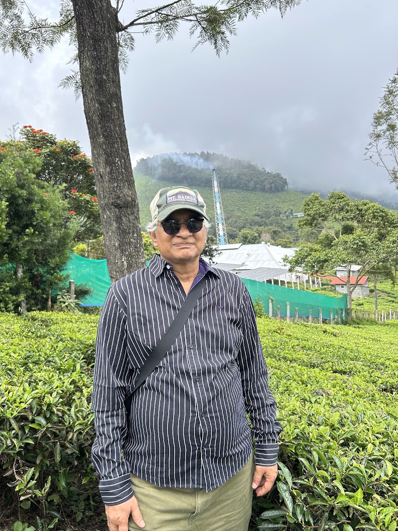 Tea plantation - Tea plantation 8RX9+WQ, Coonoor, Tamil Nadu 643101, India