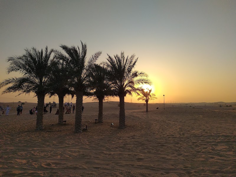 Desert Tent Safari - Desert Tent Safari, Al Mateena St - Deira - Dubai - United Arab Emirates