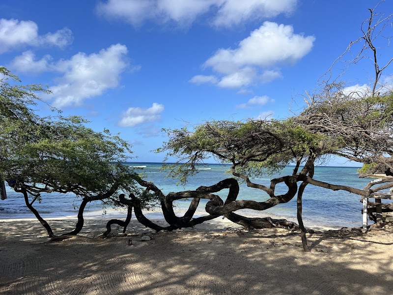 Savaneta Beach - Savaneta Beach, F22W+5GV, Savaneta, Aruba