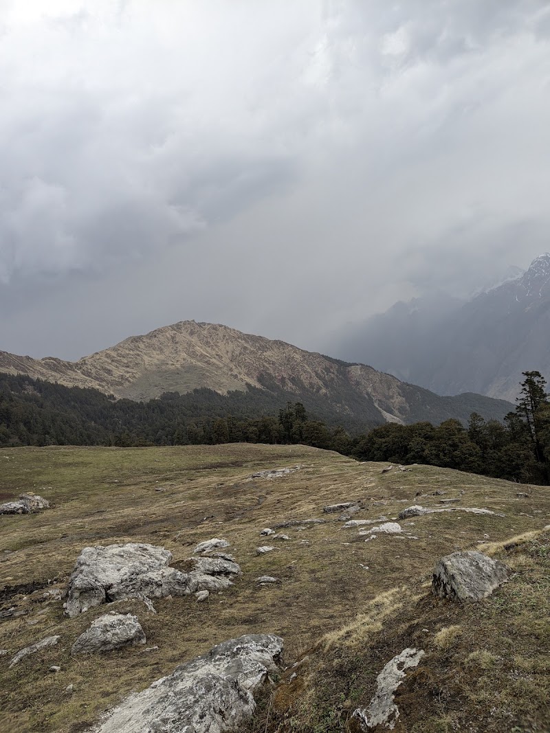 Tali Forest Camp - Tali Forest Camp, FHFF+G5, Salud Dugra, Uttarakhand 246483, India