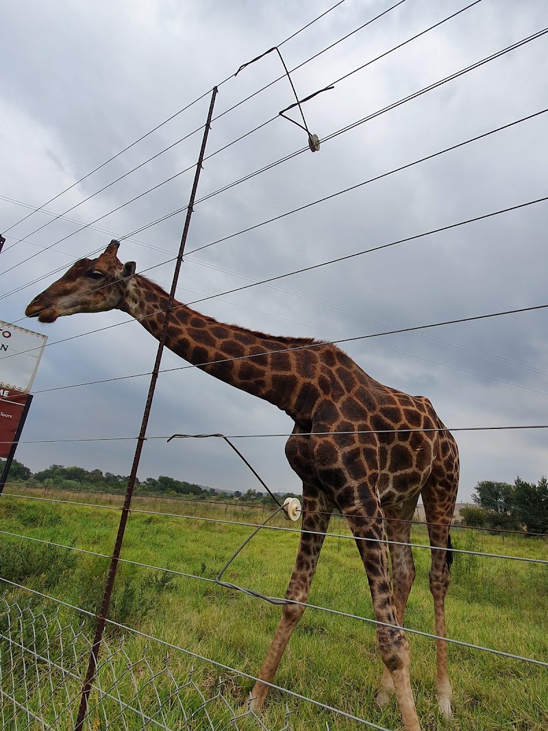 Maropeng: Official Visitor Centre for the Cradle of Humankind World Heritage site - Maropeng: Official Visitor Centre for the Cradle of Humankind World Heritage site, R400, 1911, South Africa