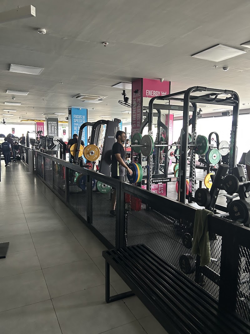 Cult Gym Phase 1, Hinjewadi | Best Gym in Hinjewadi, Pune - Cult Gym Phase 1, Hinjewadi | Best Gym in Hinjewadi, Pune, 24, Maan Rd, Phase 1, Rajiv Gandhi Infotech Park, Hinjawadi, Pimpri-Chinchwad, Maharashtra 411057, India