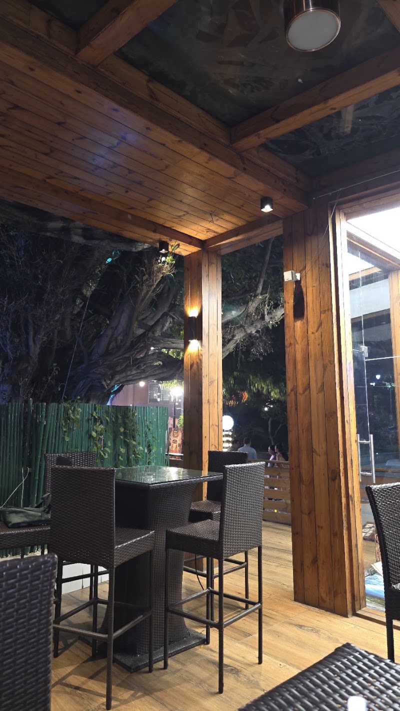 Cine Tree Cafe - Cine Tree Cafe Rafi Marg, behind RBI Bank Inside Constitution Club of India, Sansad Marg Area, New Delhi, Delhi 110001, India