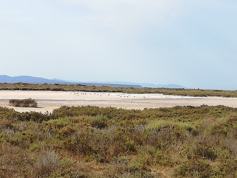 Stagno di Mistras