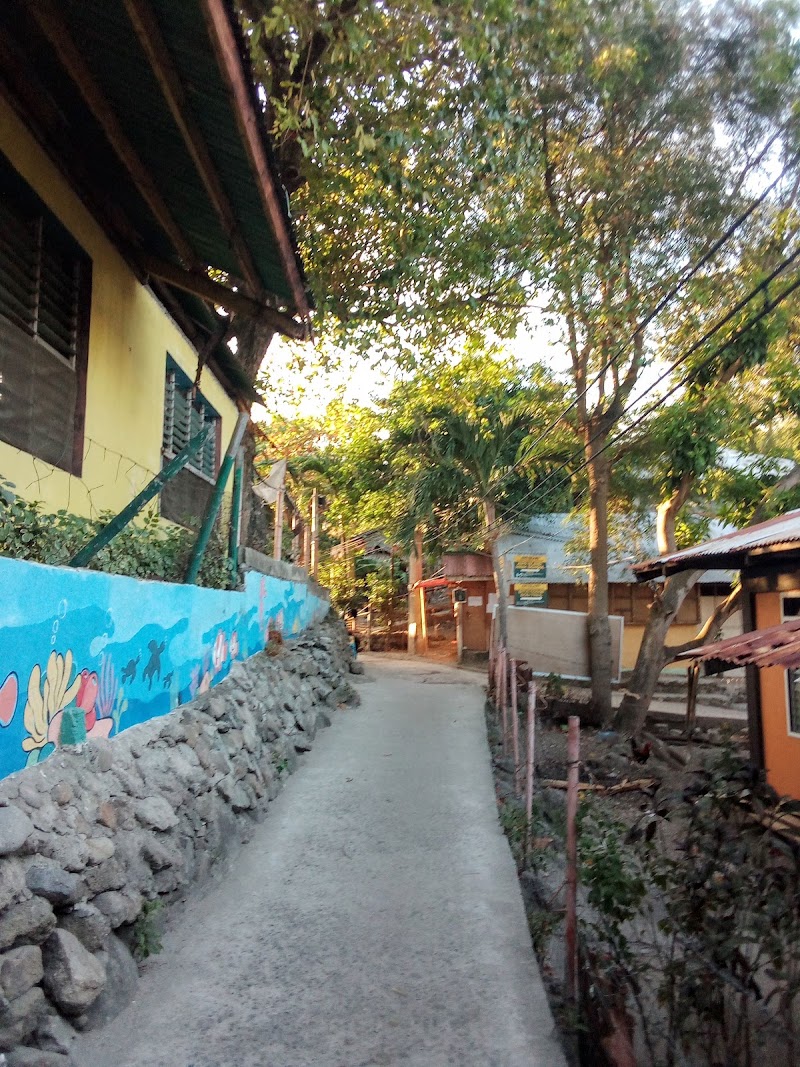Elnor’s Homestay - Elnor’s Homestay, Near Apo Island High School, 37G9+CPG, Apo Island, Dauin, Lalawigan ng Negros Oriental, Philippines