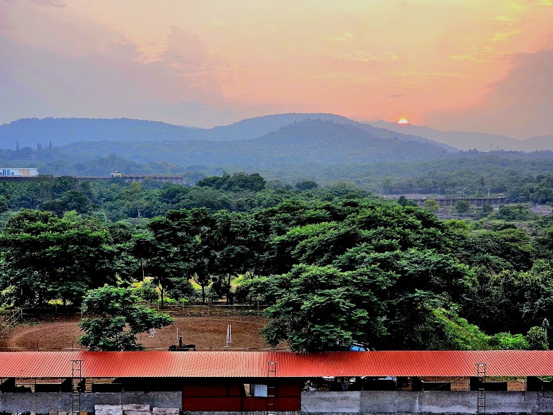 Hotel Forest View - Hotel Forest View Road, near Morey Equestrian, Nanded, Pune, Maharashtra 411024, India