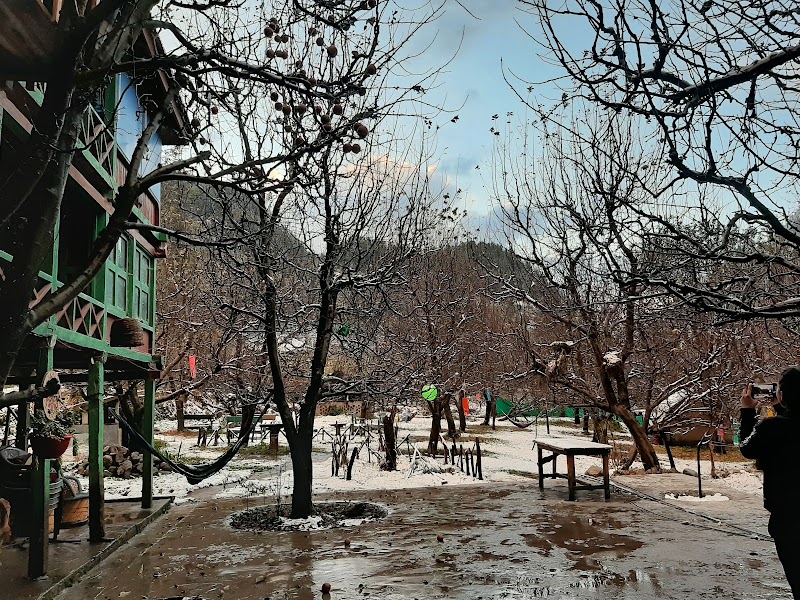 Apple Garden Cafe - Apple Garden Cafe, Pulga, Sosan, Himachal Pradesh 175105, India