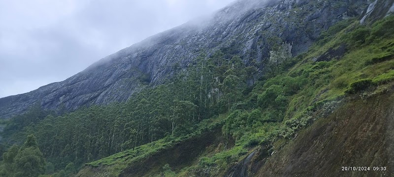 Bison valley - Bison valley, 24F9+HHJ, Udumbanchola, Keralam 685613, India