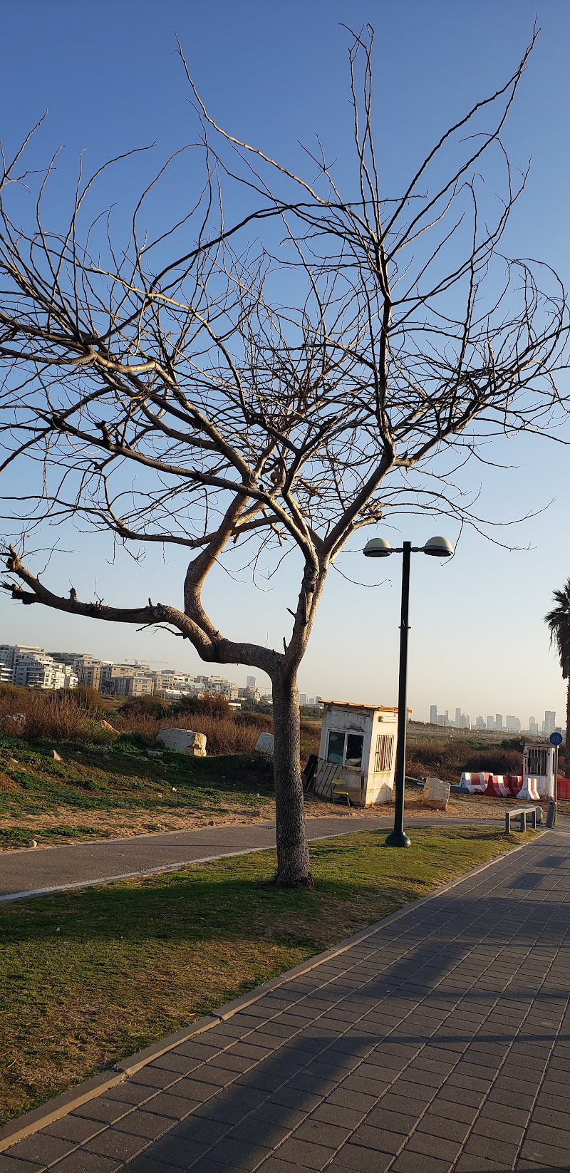 Israel - Israel