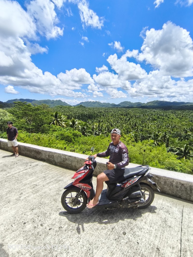 Coconut Plantation View Point - Coconut Plantation View Point, R365+WRH, Siargao Circumferential Rd, Pilar, Surigao del Norte, Philippines