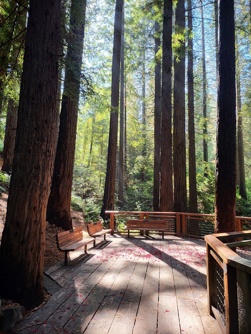 Hoyt Arboretum - Hoyt Arboretum, 4000 SW Fairview Blvd, Portland, OR 97221, USA
