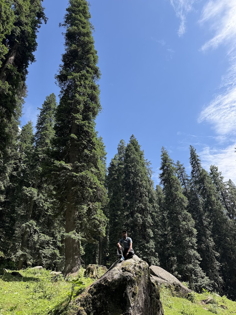 Hampta Pass Trek Base - Hampta Pass Trek Base, 763M+Q8, Bashisht, Himachal Pradesh 175143, India