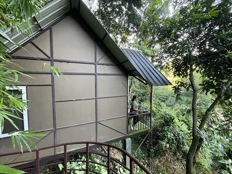 Moselberg Riverside Cottages - Moselberg Riverside Cottages Near Pallivasal, 23F4+CC6 Power House, Pottankadu, Kerala 685565, India
