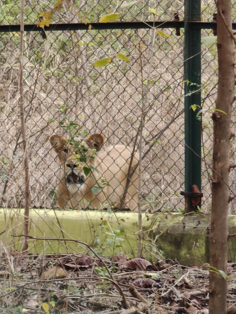 Nandanvan Jungle Safari, Nava Raipur - Nandanvan Jungle Safari, Nava Raipur Sector 39, Khanduwa, Sector 39, Atal Nagar-Nava Raipur, Uparwara, Chhattisgarh 493661, India