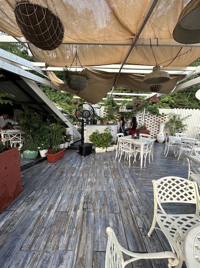 Cafe olio microbrewery and bar - Cafe olio microbrewery and bar Mandomatkanda, Dharampur, Himachal Pradesh 173201, India
