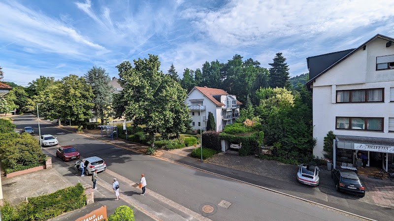 Hotel Olympia - Hotel Olympia, Lindenallee 42, 63619 Bad Orb, Germany