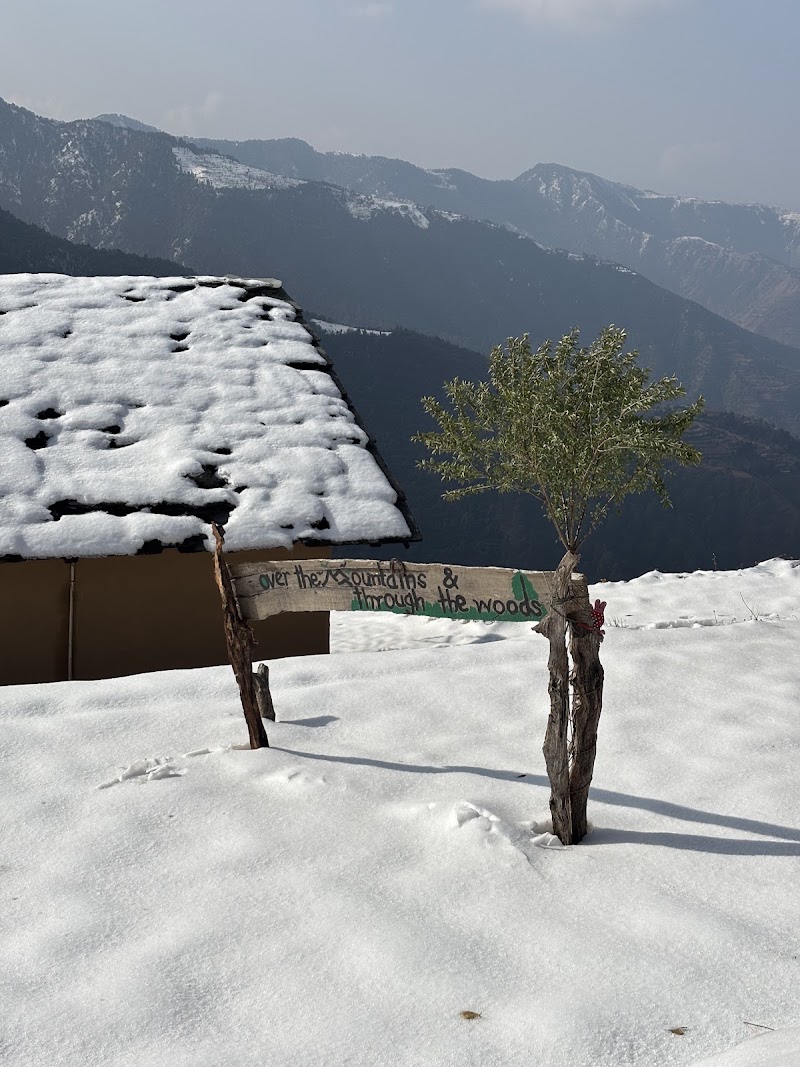Mutuals Co-Working Studio and Travel Experience Co. - Mutuals Co-Working Studio and Travel Experience Co., 11/2122, Street 5, opp. Dr. Lal Path Lab, New Shanti Nagar, Geetanjali Colony, Shankar Nagar, Raipur, Chhattisgarh 492001, India