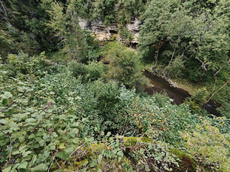 Kokrica - Kokrica Rupa 14, 4000 Kranj, Slovenia
