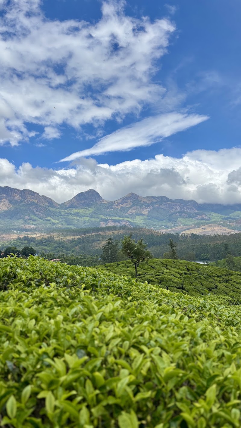 Munnar travel trip - Munnar travel trip near Eastend, Colony road, Nullatanni, Munnar, Kerala 685612, India